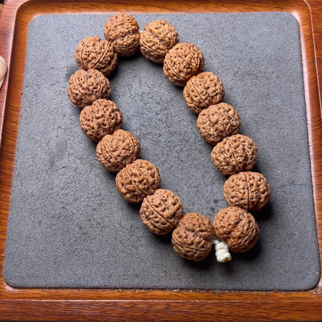 菩提5号金刚菩提梁梅花22