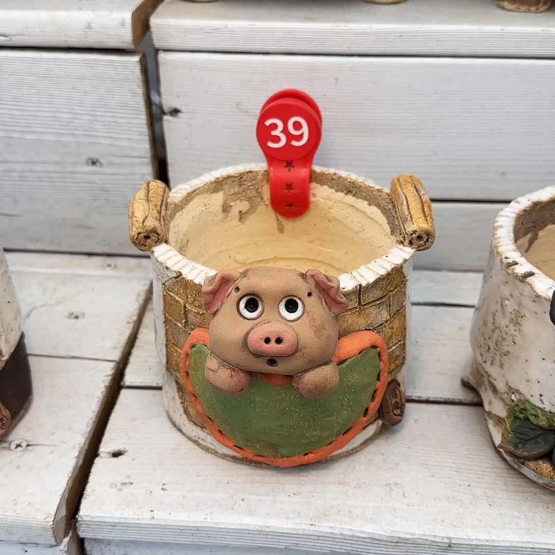 可****料可乐，盆72               盆