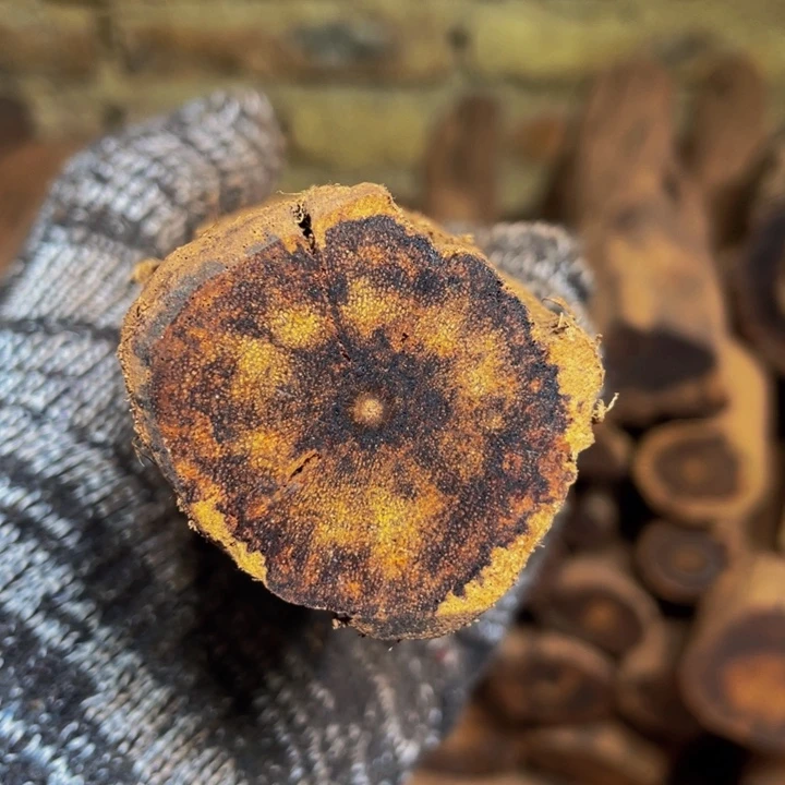 降真香手串定制缅甸小叶降真香