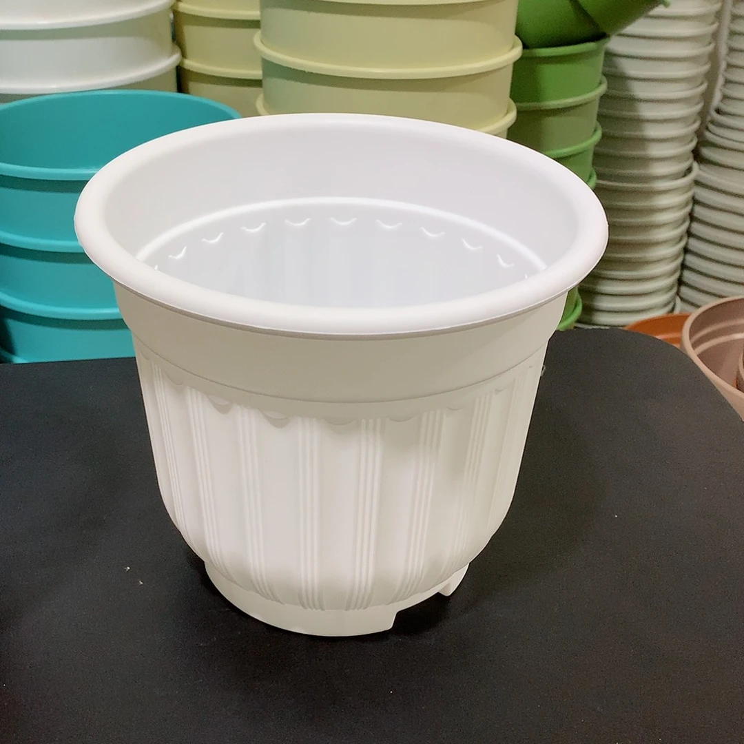 树脂罗马口21白5个无托