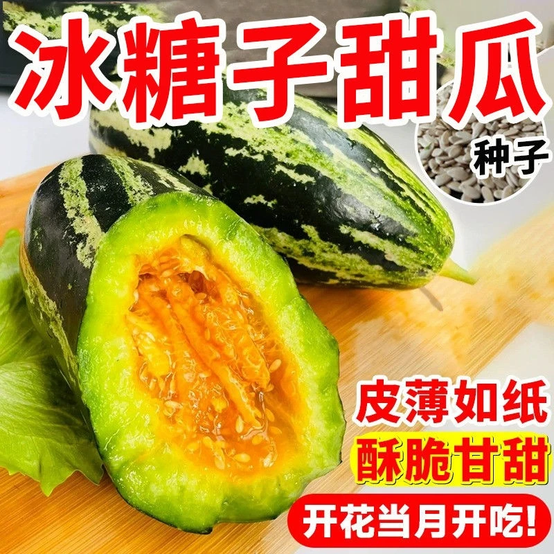冰糖子甜瓜甜掉牙甜瓜种子香瓜籽四季庭院春秋水果蔬菜瓜果种子G