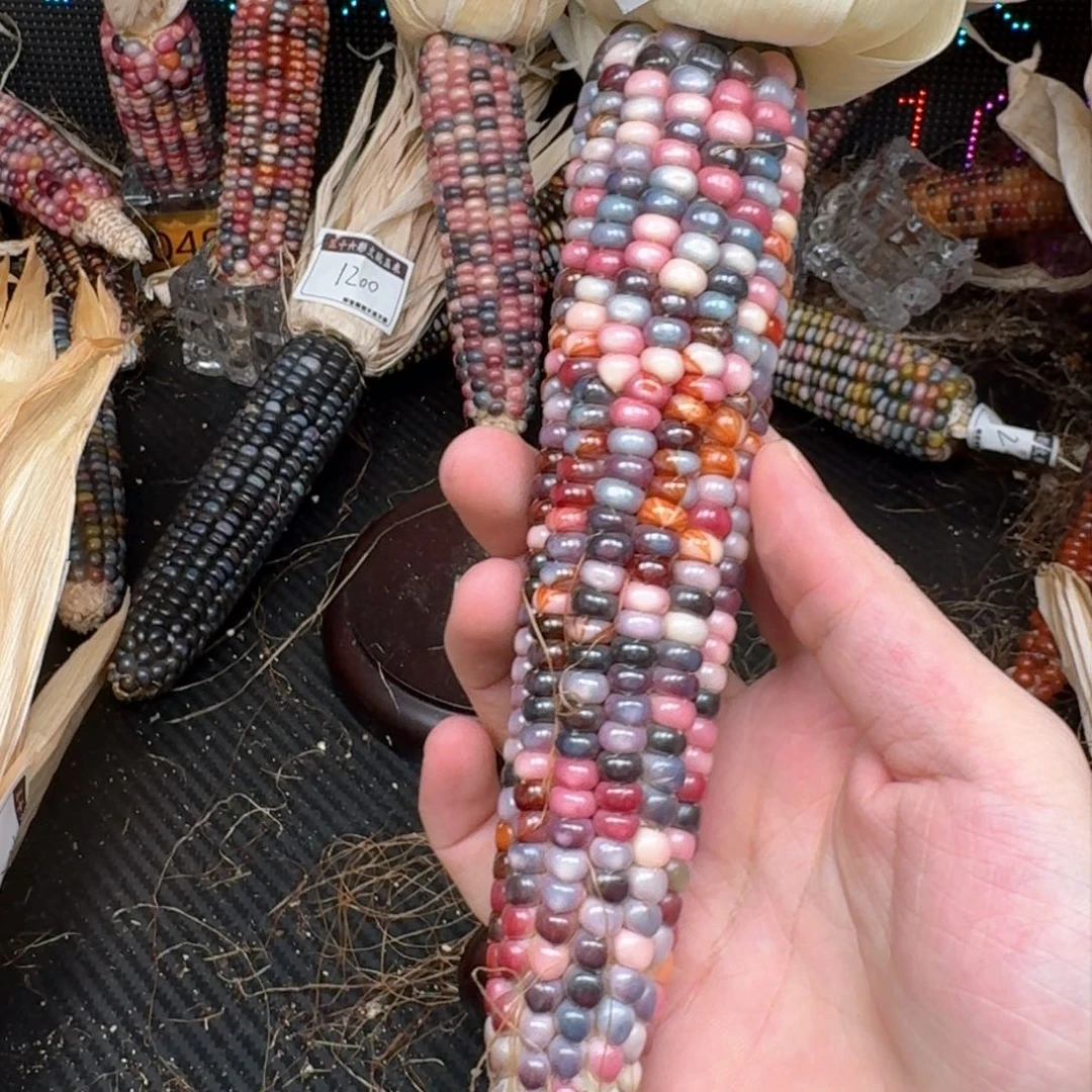 柏香籽/百香籽吊坠?*合