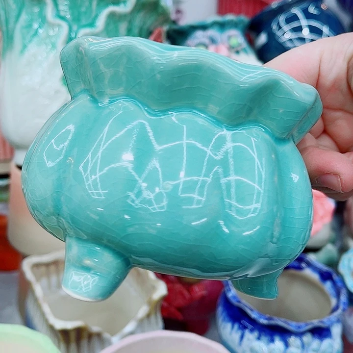 多肉植物陶瓷花盆