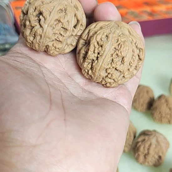 把件文玩核桃40左右粗筋一对配对如图