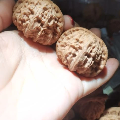 猴头核桃吊坠42白狮子