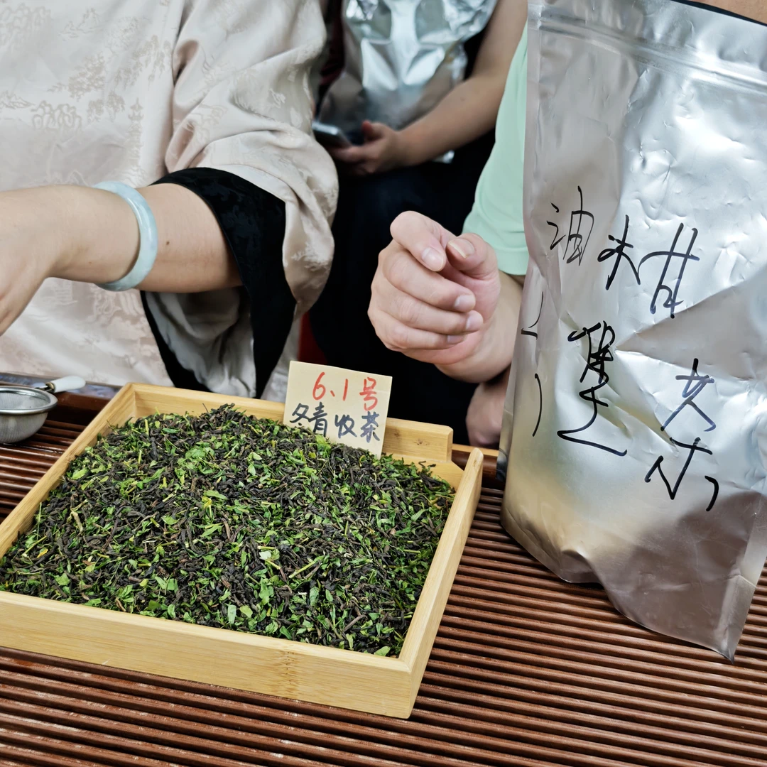 油甘六堡茶 2016年梧州窖藏 冬青收茶