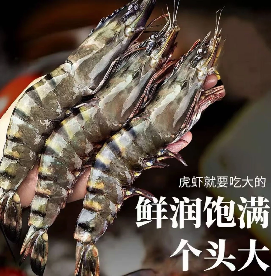 10-20规格 新鲜超大黑虎虾 鲜活速冻发货 顺丰冷链