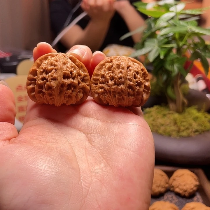 文玩核桃把件白狮子闪3