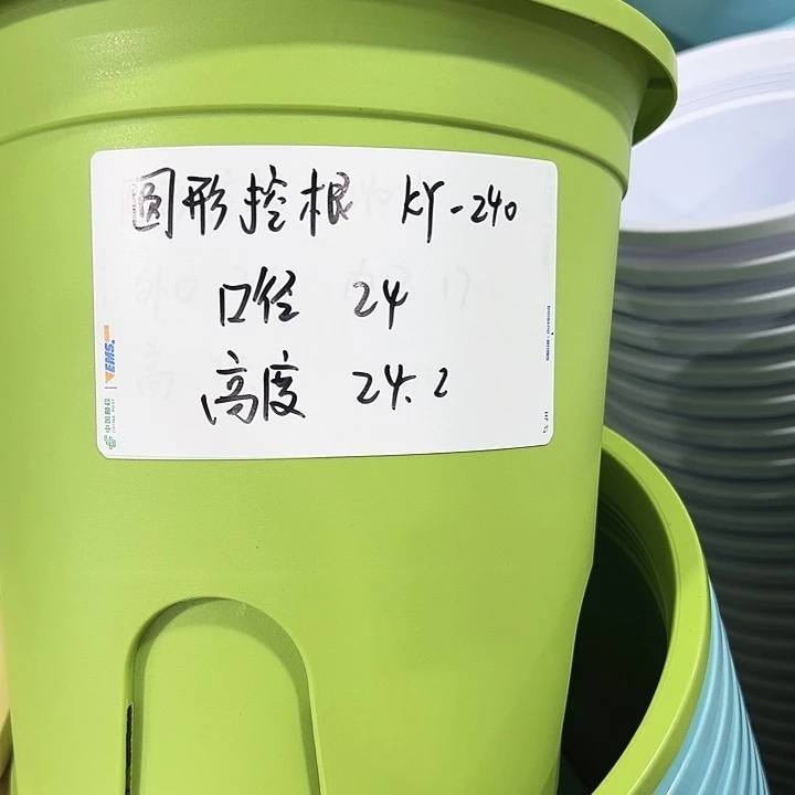 正品圆控口24高24白色带托8支