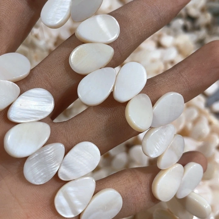 大理石非金属一条贝壳水滴10x15