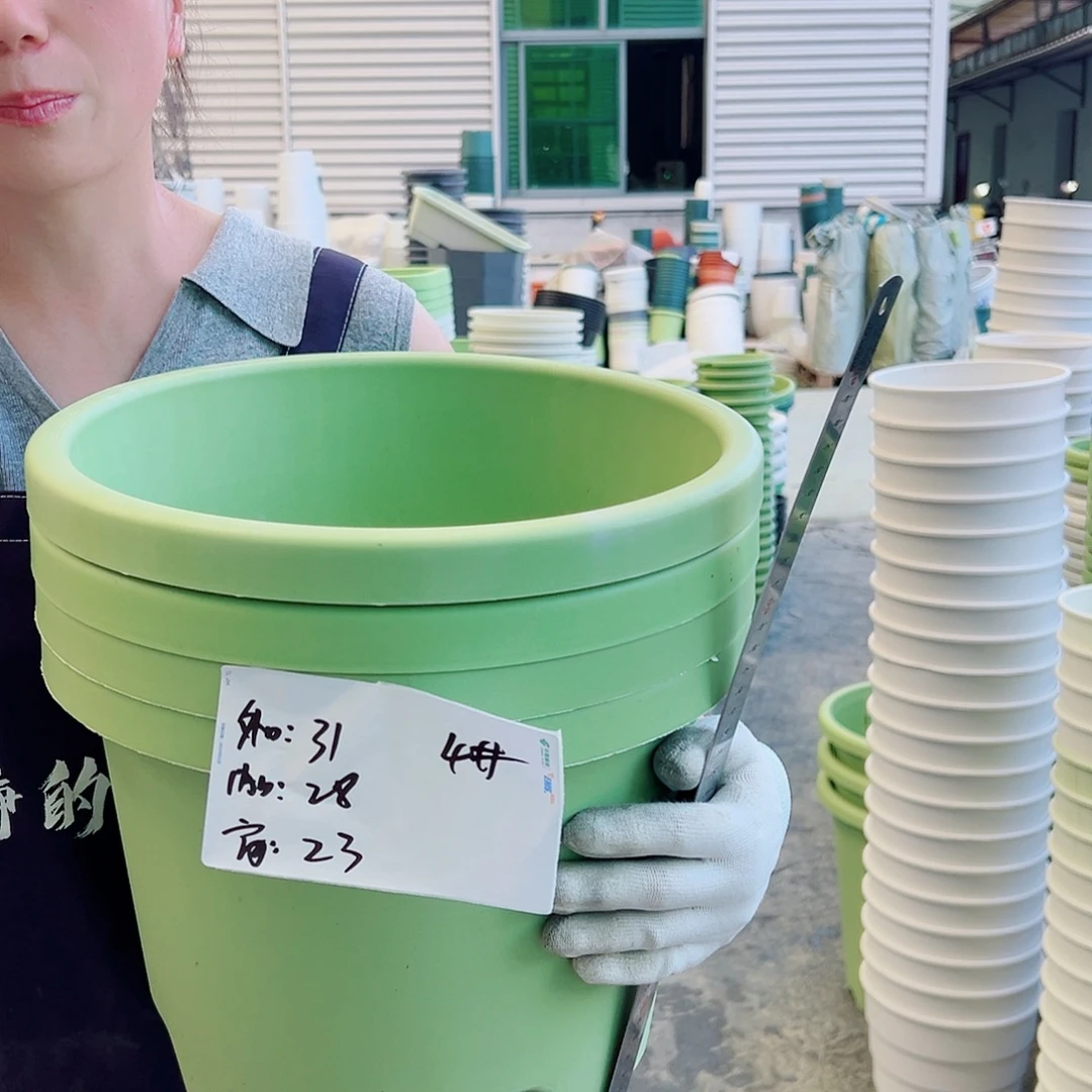 球根盆4#果绿6个无托