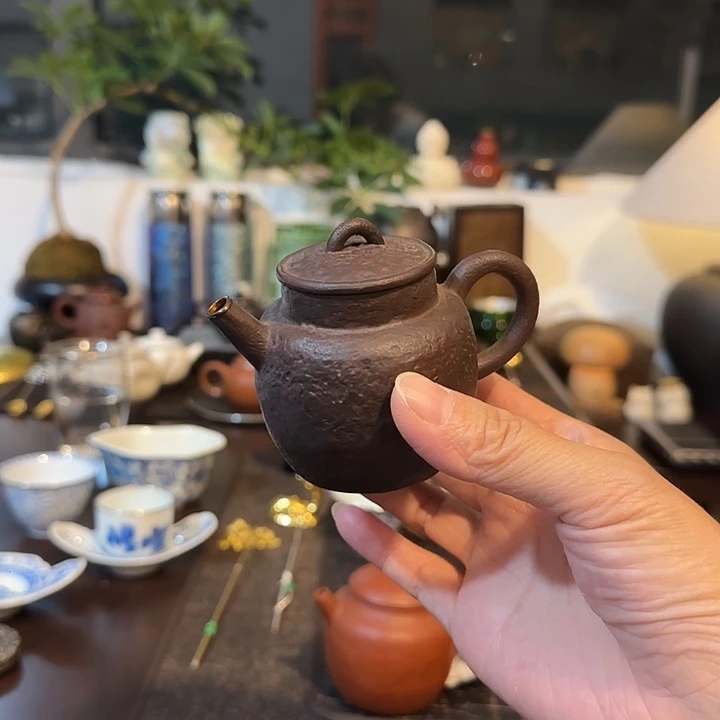 梵山堂泡壶。