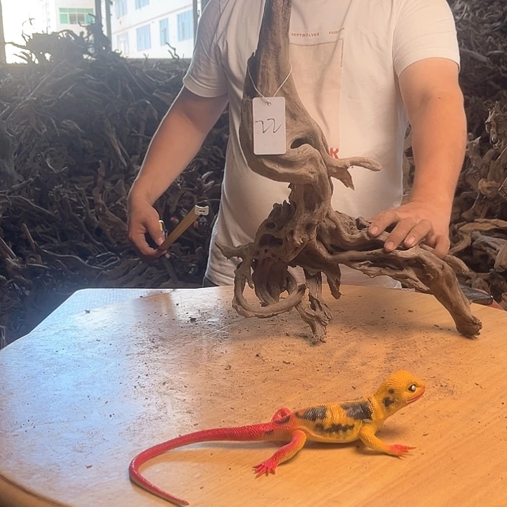 木302045 鱼缸造景根雕作品22