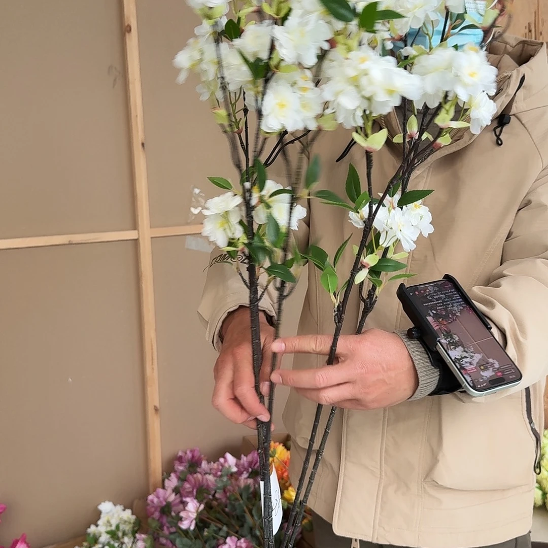 735号白色大支海棠花4支