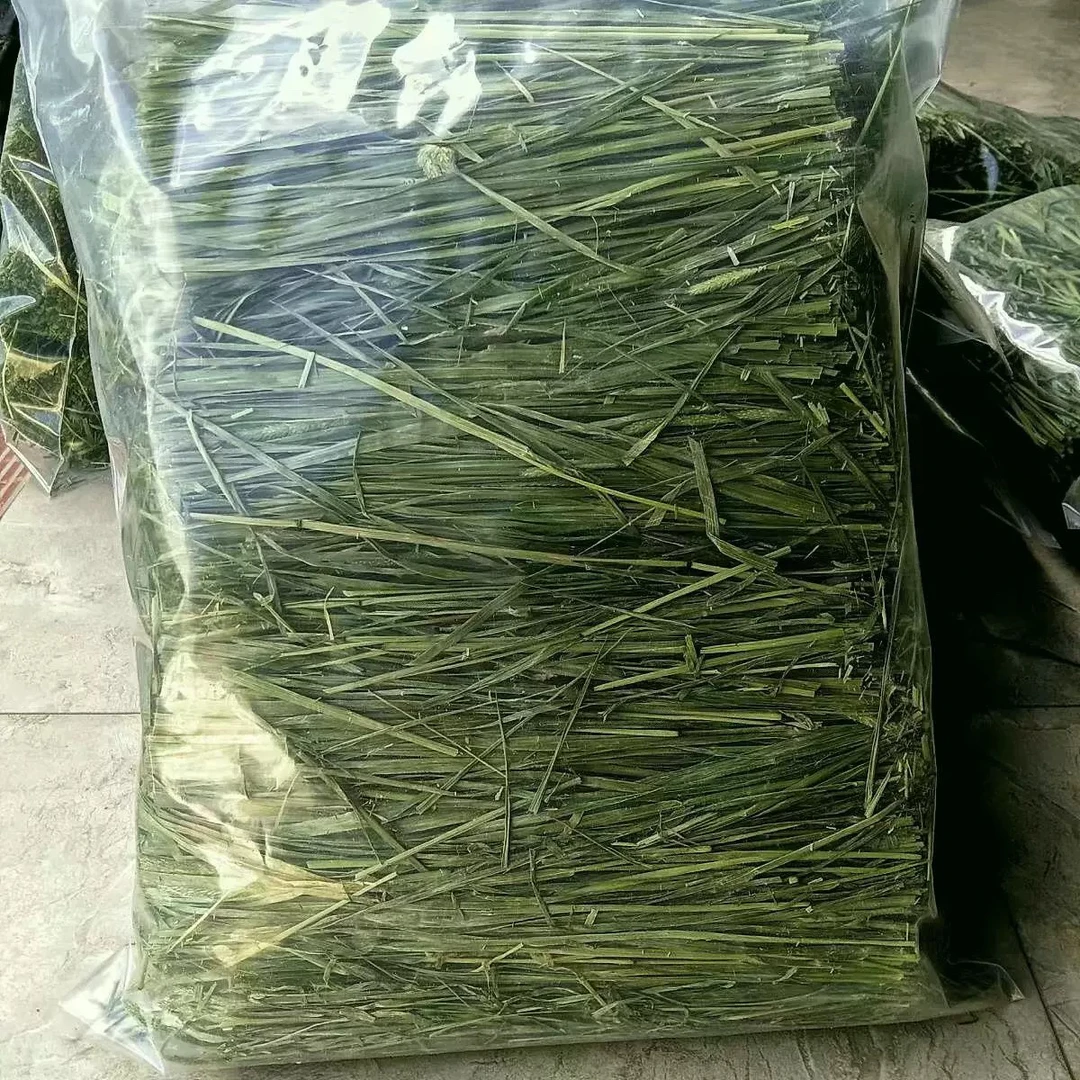 优质烘干提摩西草兔子豚鼠龙猫荷兰猪小宠饲料牧草2斤包邮