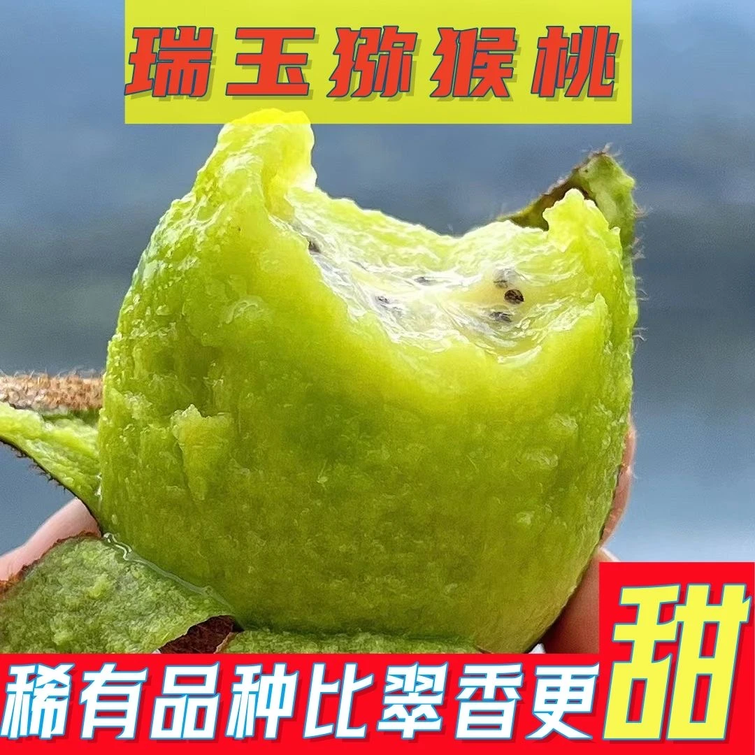 【小爱】陕西新品瑞玉猕猴桃奇异果新鲜采摘纯甜无酸产地直发包邮