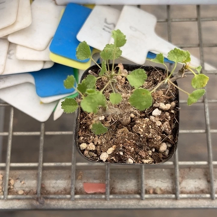 幸***二我也不知道我为什么要这样