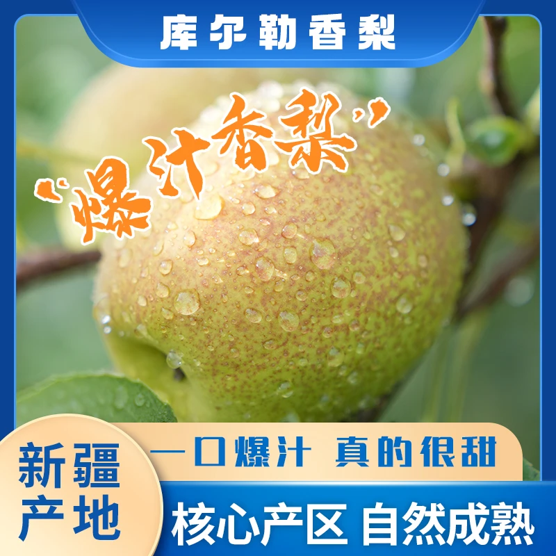 库尔勒香梨皮薄酥脆肉细香甜多汁入口化渣正宗新疆产地核心产区