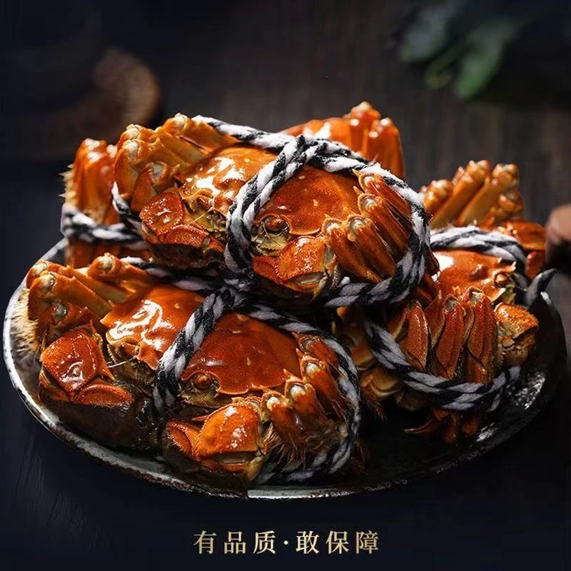 【活蟹】现捕现捞大闸蟹全母3.5-3.2两共8只10只