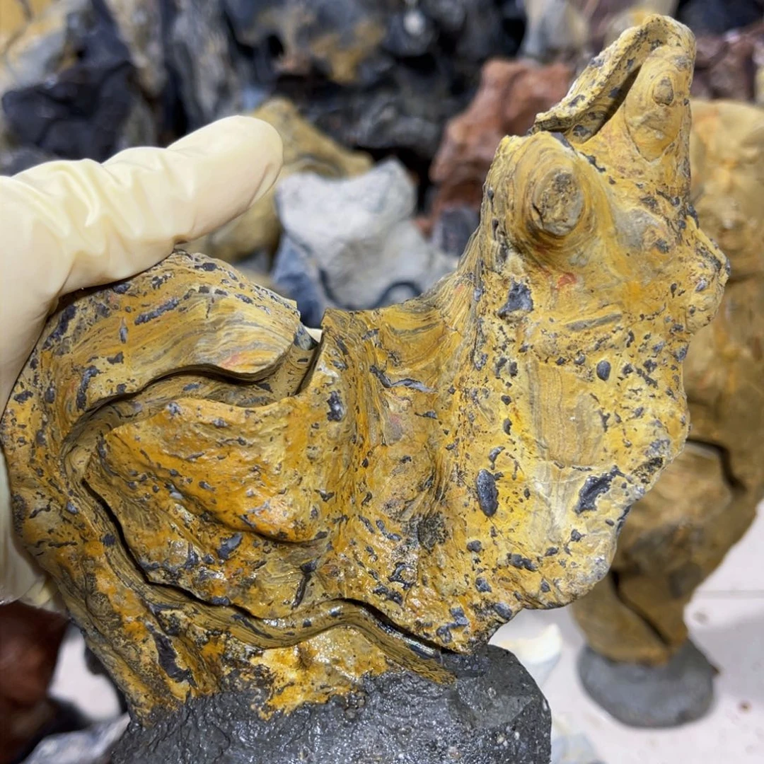 大***●附石盆景一物一拍