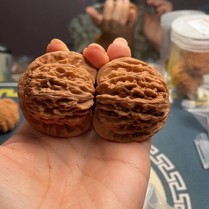 枫*林46楼会议设施一键三折自助