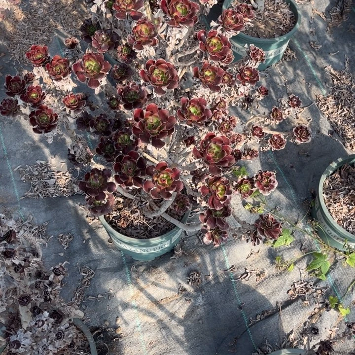 铭****111111111111111111