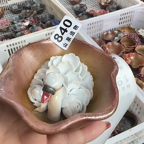 瓷片柴烧柴烧柴烧840