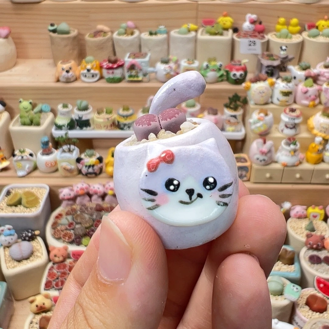 多肉植物177号紫色猫