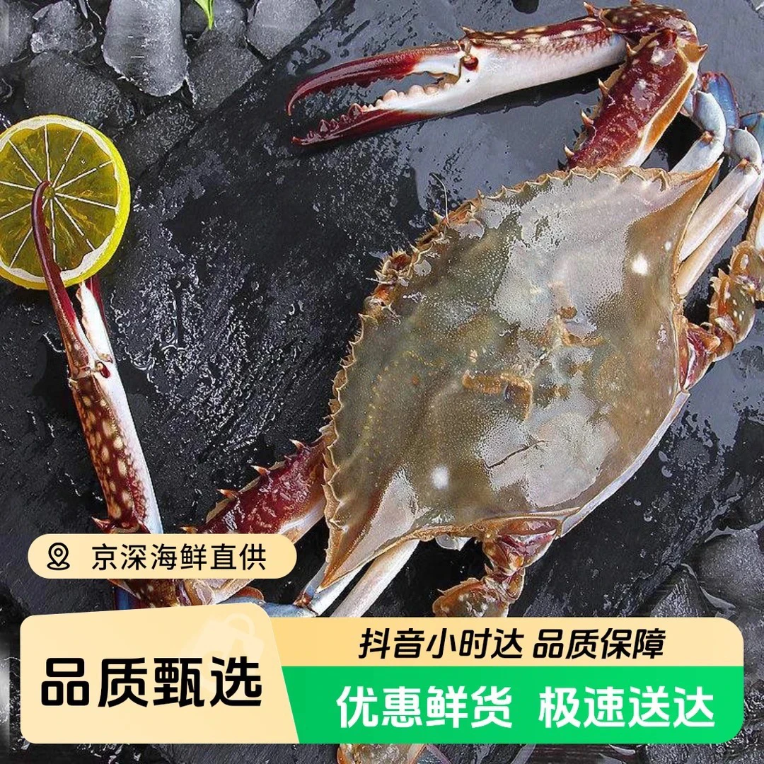 【鲜活】丹东巨无霸公梭子蟹500g单只5-7两一斤2只两斤3-4只海鲜梭子蟹同城