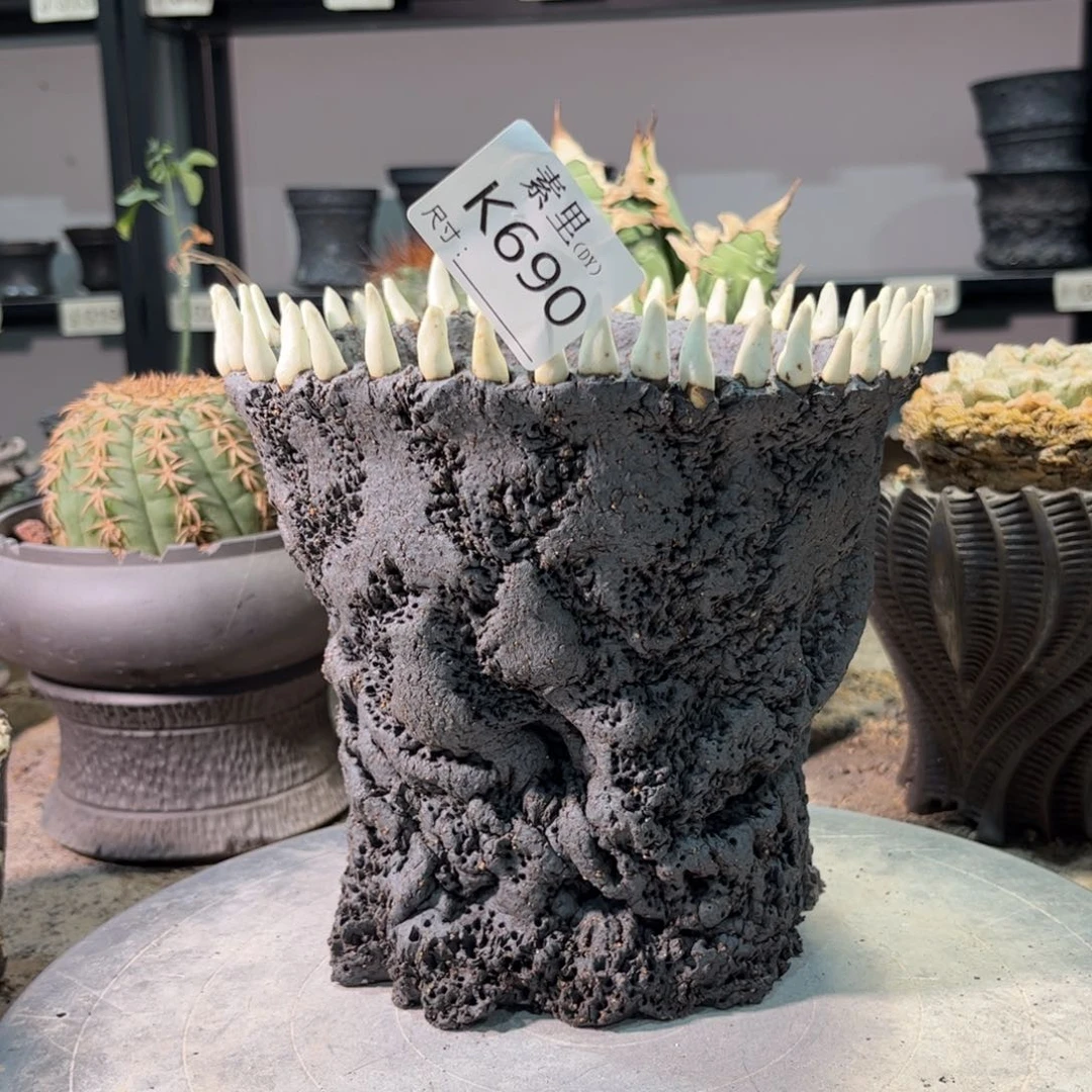 景德镇手工素里内口15高15.5