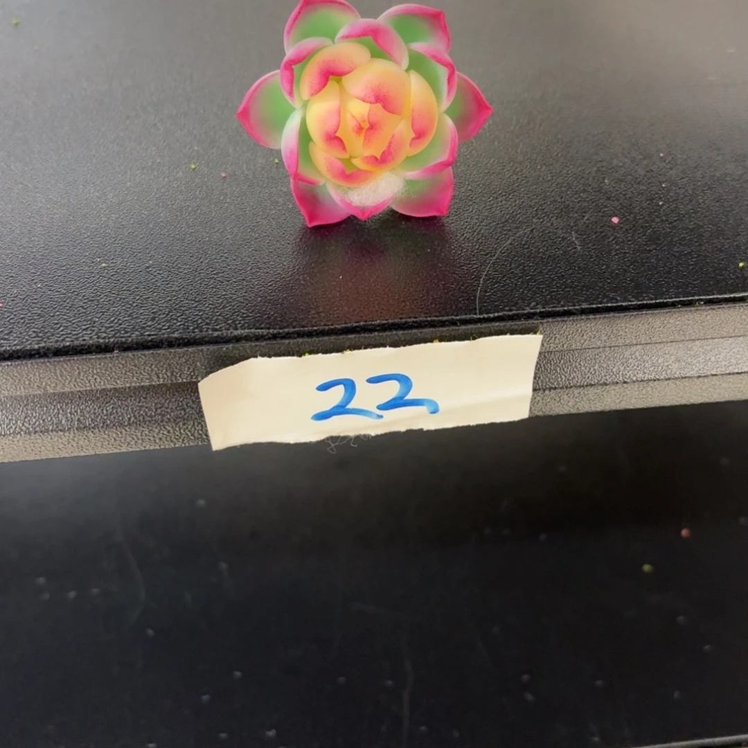 树脂制品22号噢噢噢噢