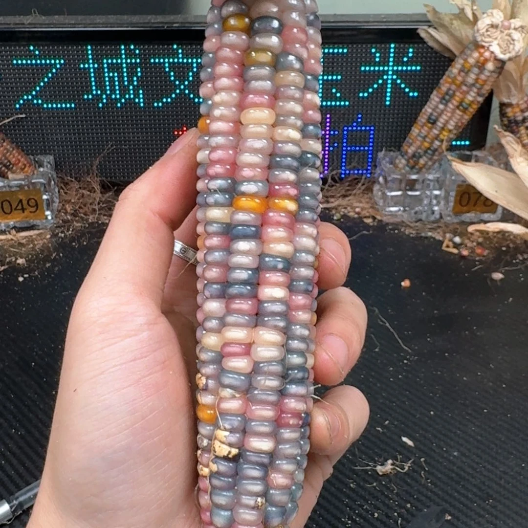 柏香籽/百香籽吊坠岐**-