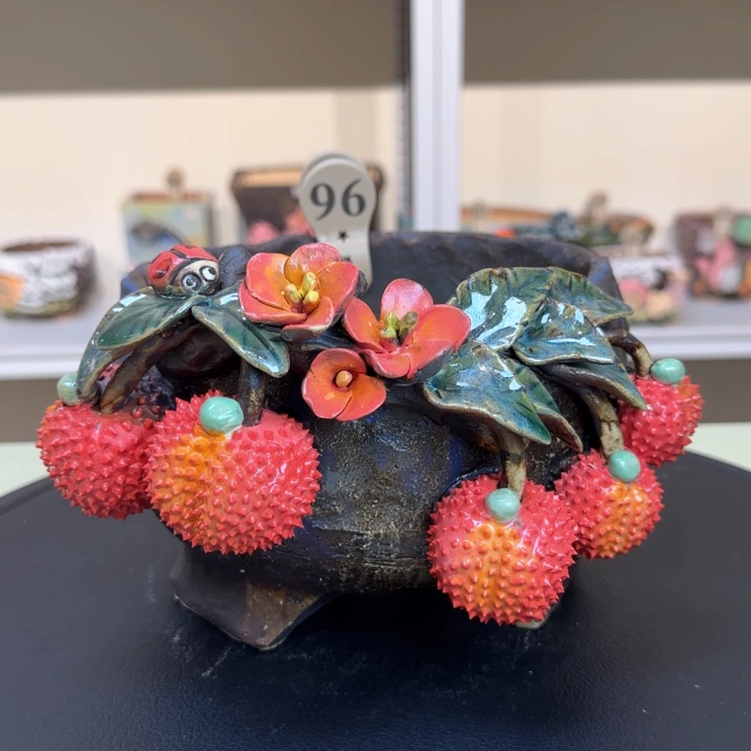 96 【闪购】多肉花盆