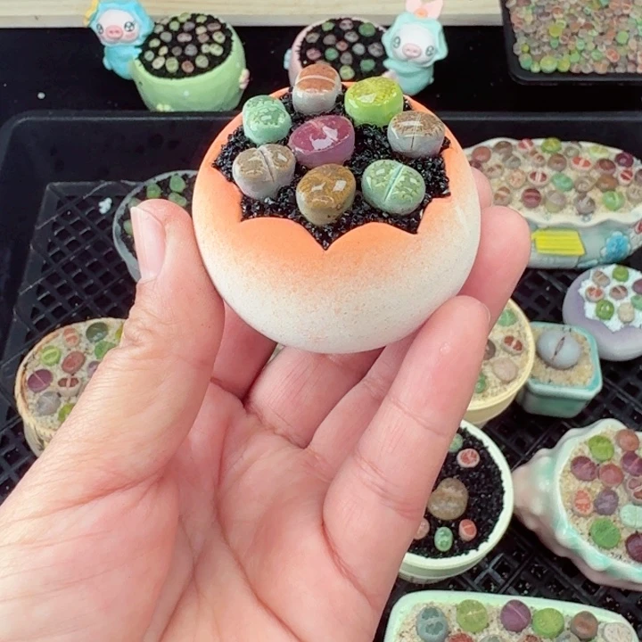 548零下地区记得拍保温箱满18包邮