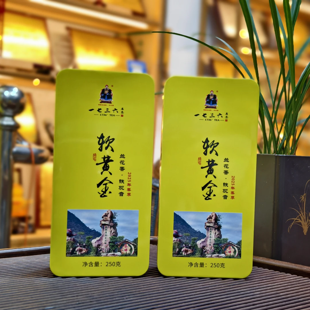2025年软黄金 新茶 清香型安溪铁观音