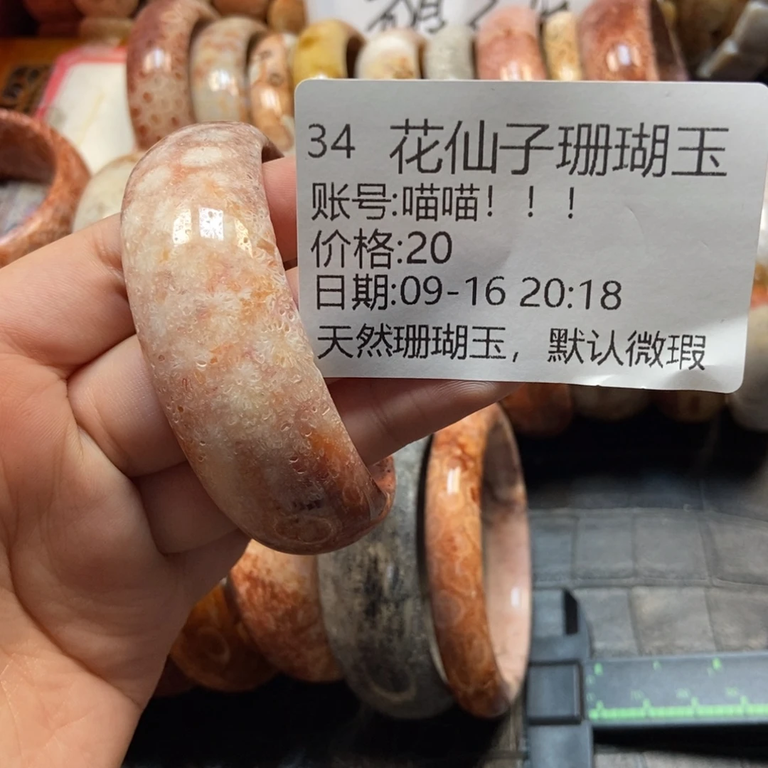 喵***！未镶嵌硅化珊瑚（珊瑚玉）珠宝半成品34