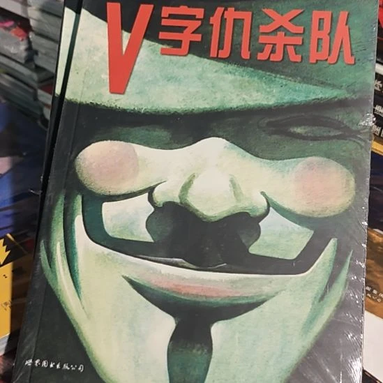 v字仇嘎队平装库存书