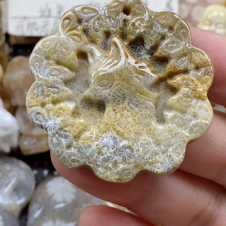 颈饰未镶嵌硅化珊瑚（珊瑚玉）有瑕