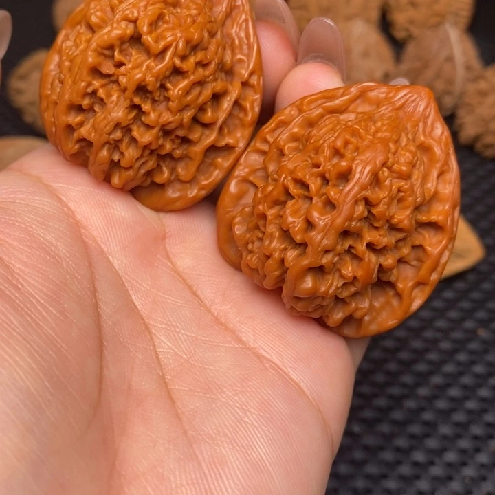 秦岭野生22222222