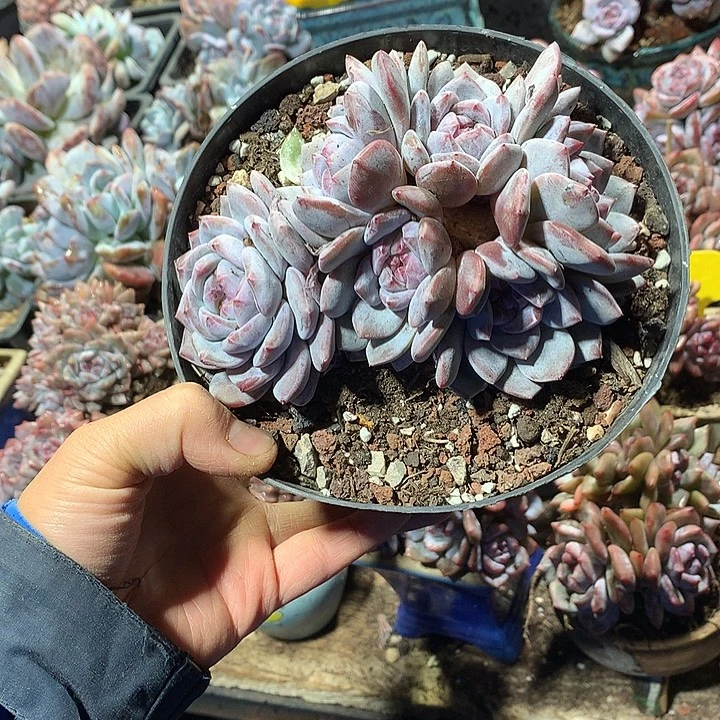 哈哈哈哈哈哈哈哈