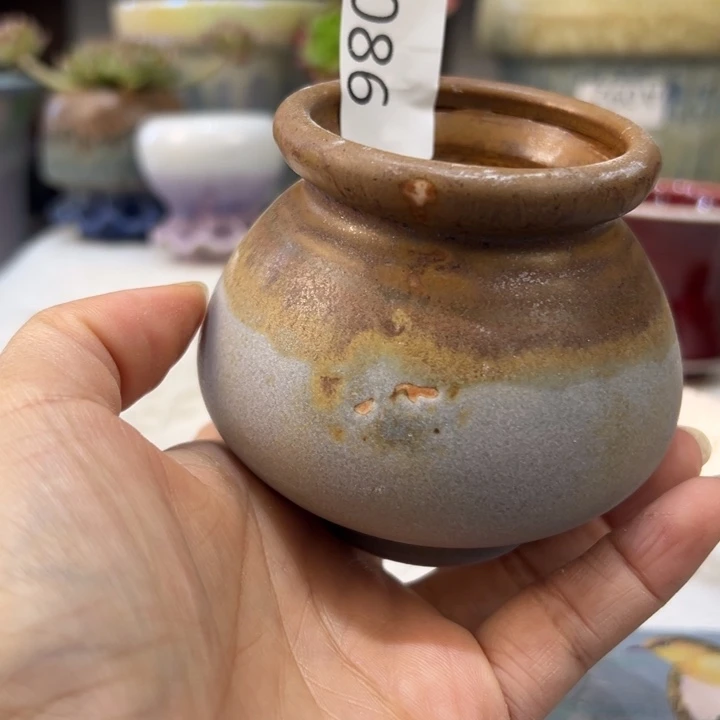景德镇陶瓷研究所，2单包邮