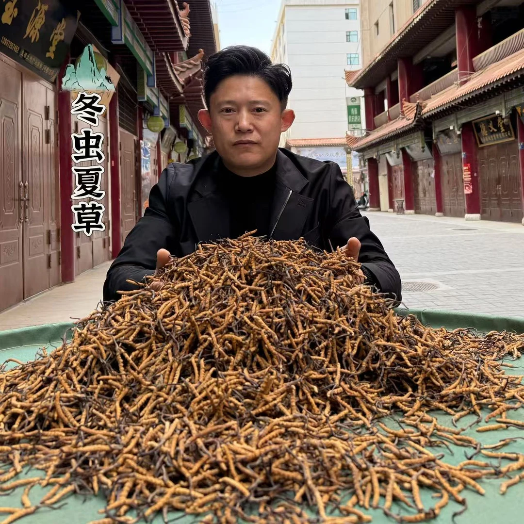 【冬虫夏草】小黄芽大草-100根/礼盒 高海拔冬虫夏草