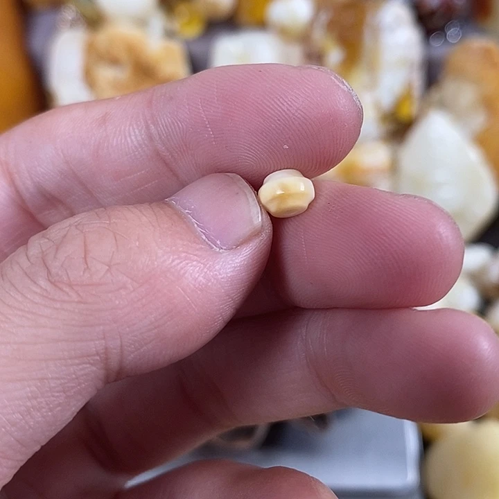 琥珀未镶嵌珠宝奇石我