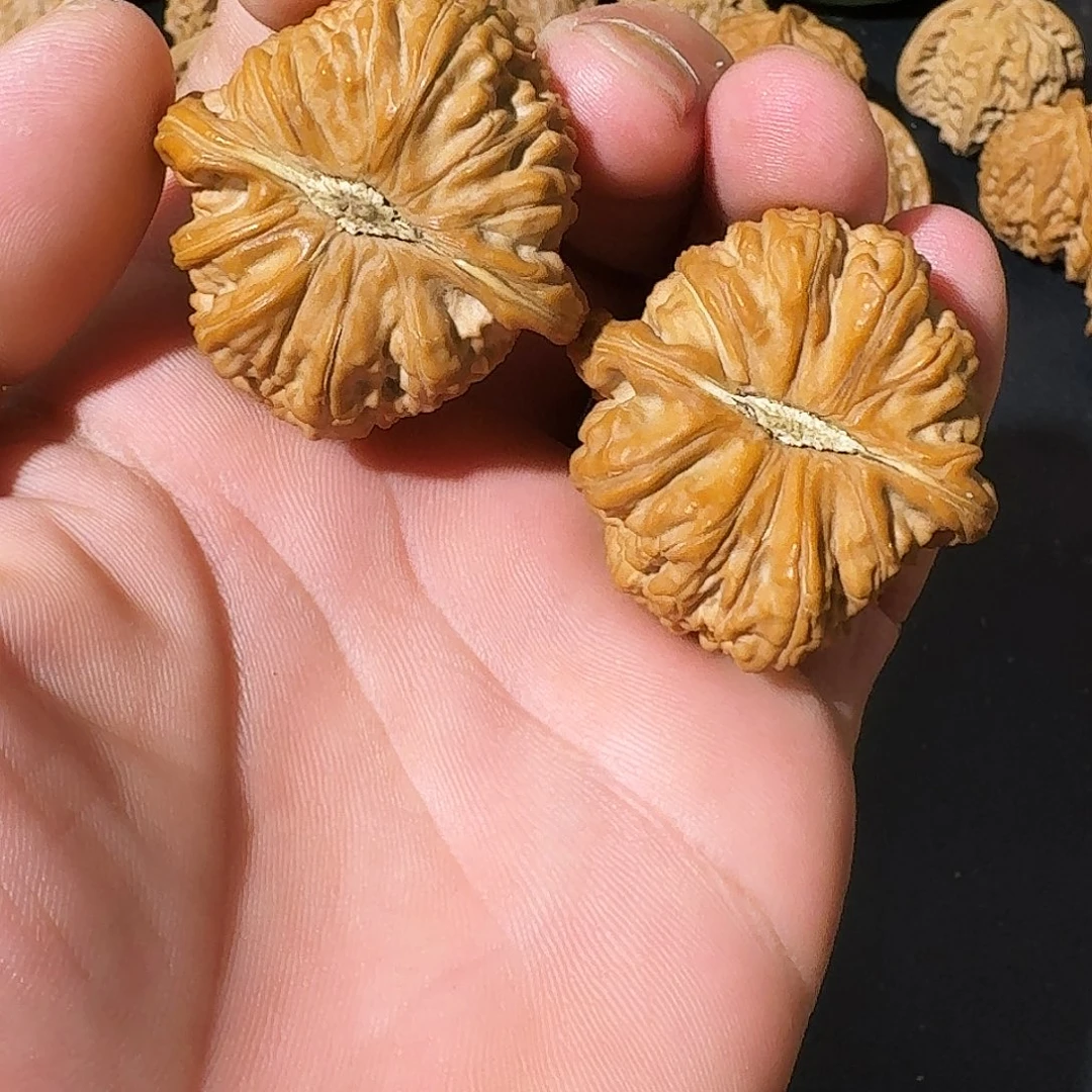 朝***吊坠文玩核桃白狮子