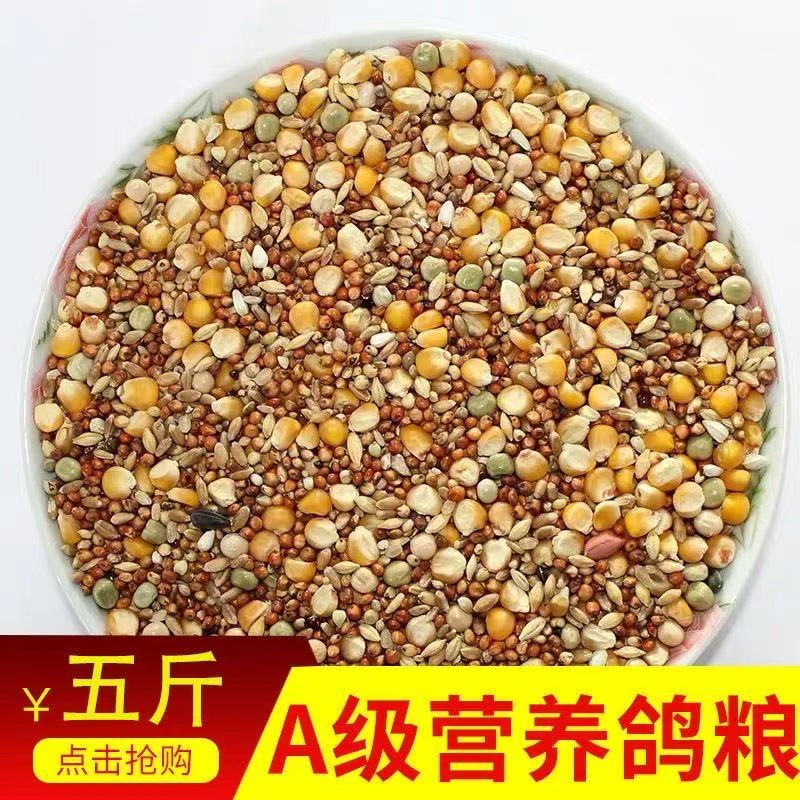 精品鸽粮有玉米无玉米鸟食饲料鸽子用品大全保健砂幼鸽成鸽观赏鸽