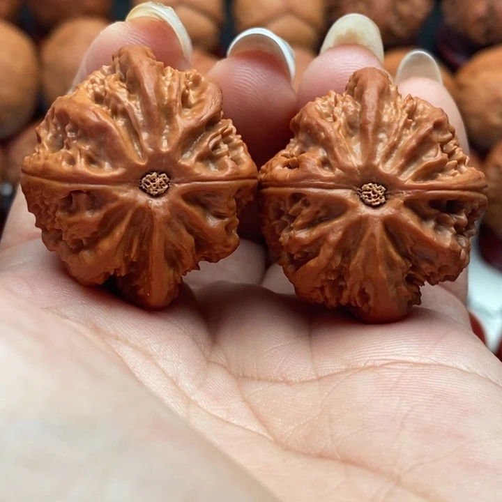 核桃精品文玩核桃手捻蚁王