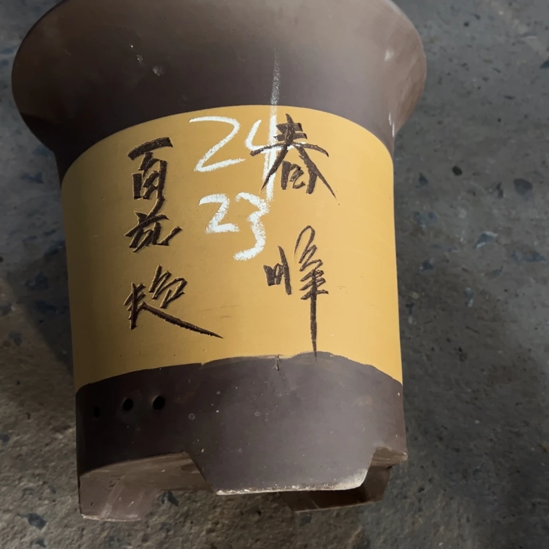 紫砂工艺厂……紫砂工艺厂……