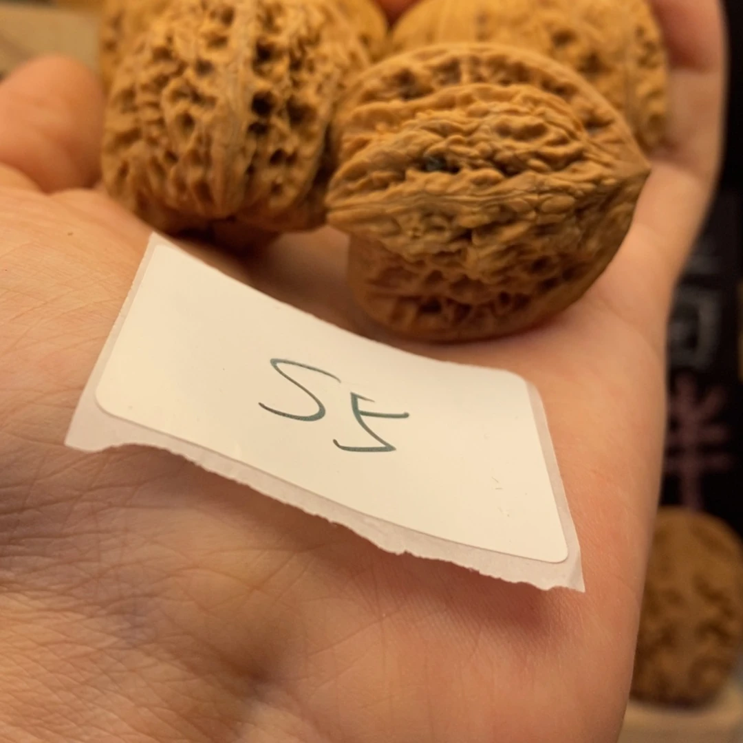 S5元宝41+尺寸➕蚂蚁小手捻