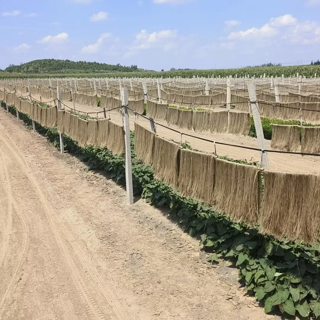 赵家山领红薯粉条传统工艺自然晾晒口感纯正匠心制作家庭版5斤