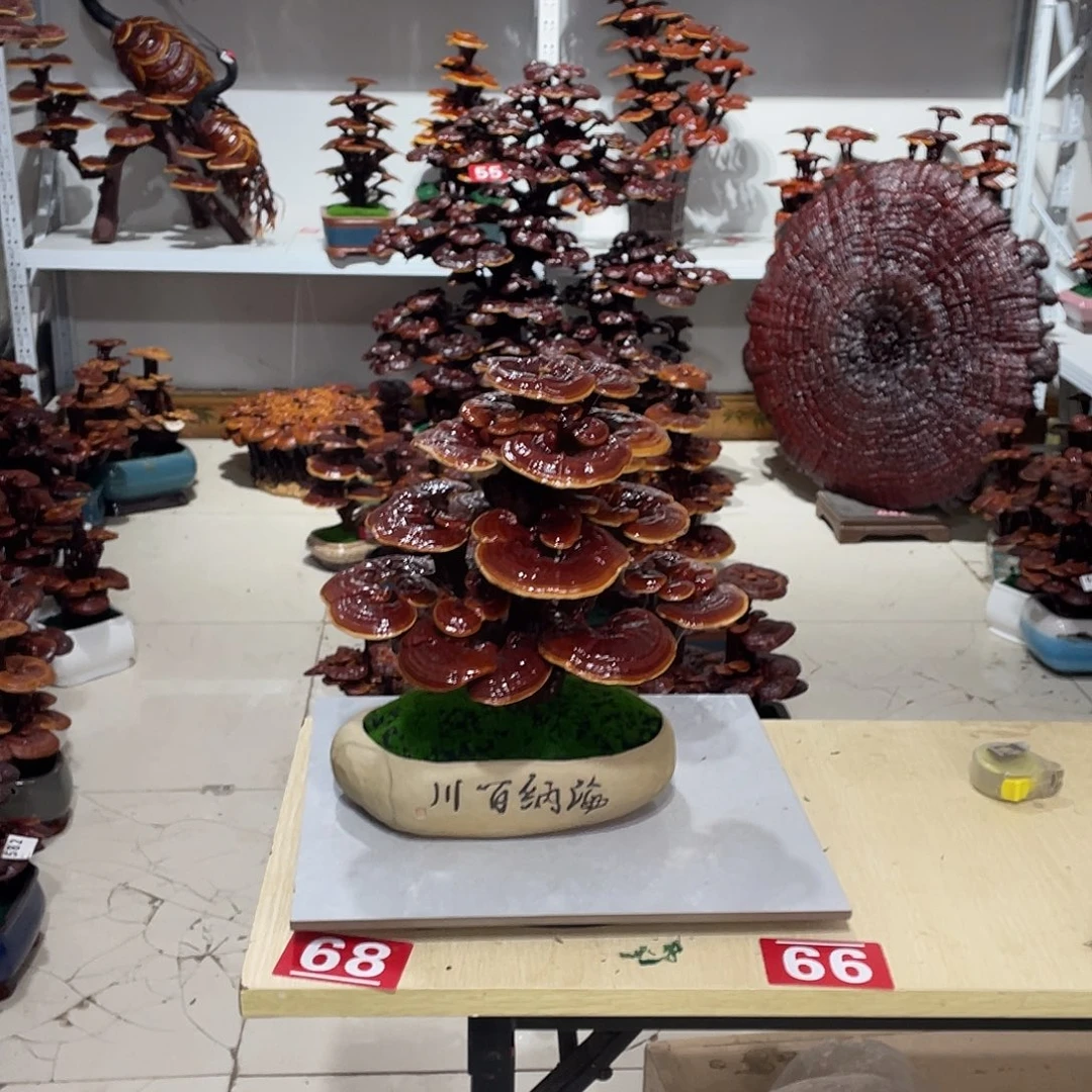 无花朵8888888888888